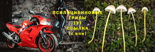 ALPHA PVP Лабытнанги
