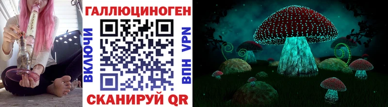 Псилоцибиновые грибы прущие грибы  Купить  Кириллов 