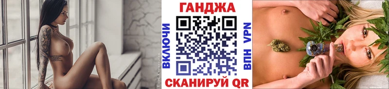 Купить где  Кириллов  Каннабис SATIVA & INDICA 